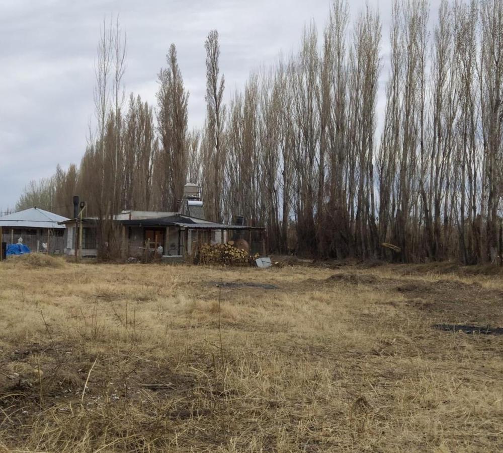 Foto de Venta Terreno " Colonia LA LUCINDA" Cipolletti Rio Negro, imagen 2