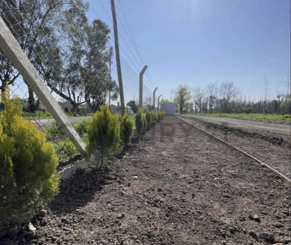 Foto de Terreno en venta, Barrio Privado, Solares Village, imagen 1