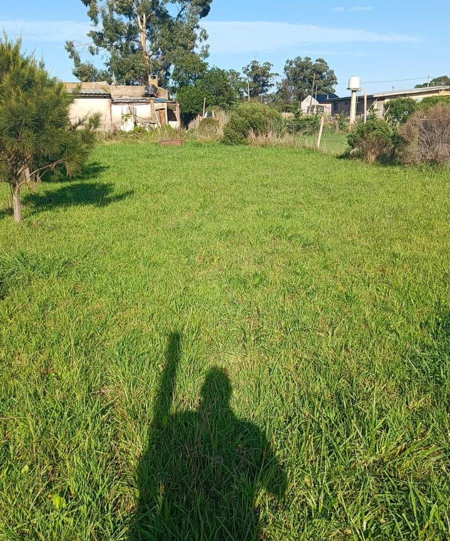 Foto de terreno en barranca los lobos, imagen 3