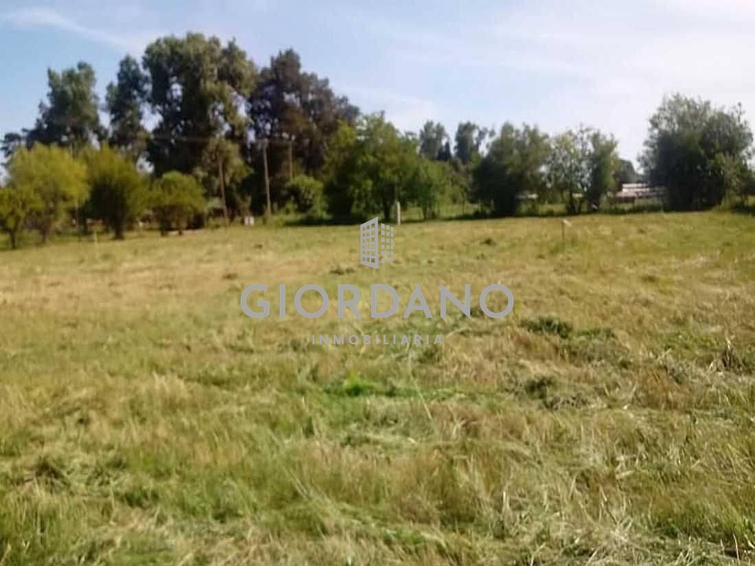 Foto de Pontevedra: Lote De Terreno 800 Mts.² Con Escritura., imagen 2