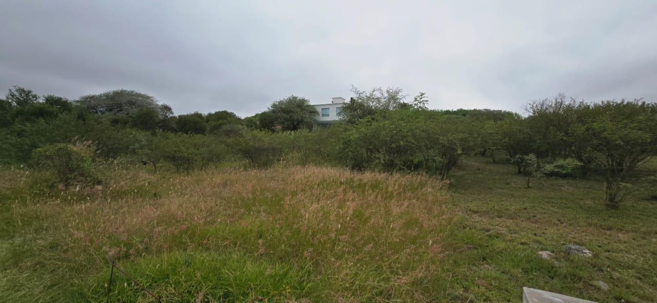 Foto de Venta lote central 468mt en Colinas De La Deseada, imagen 5