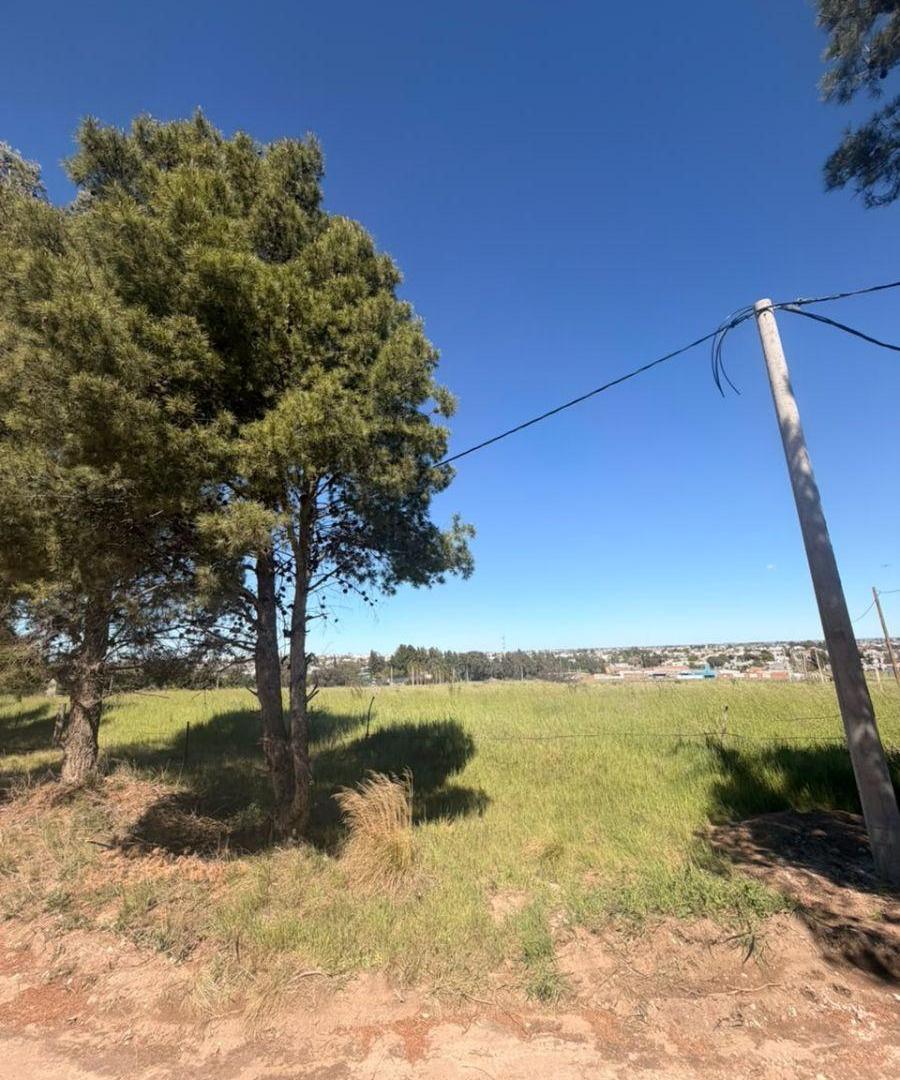 Foto de NUEVO LOTEO EN VENTA - BARRIO PARQUE SAN CARLOS, imagen 1