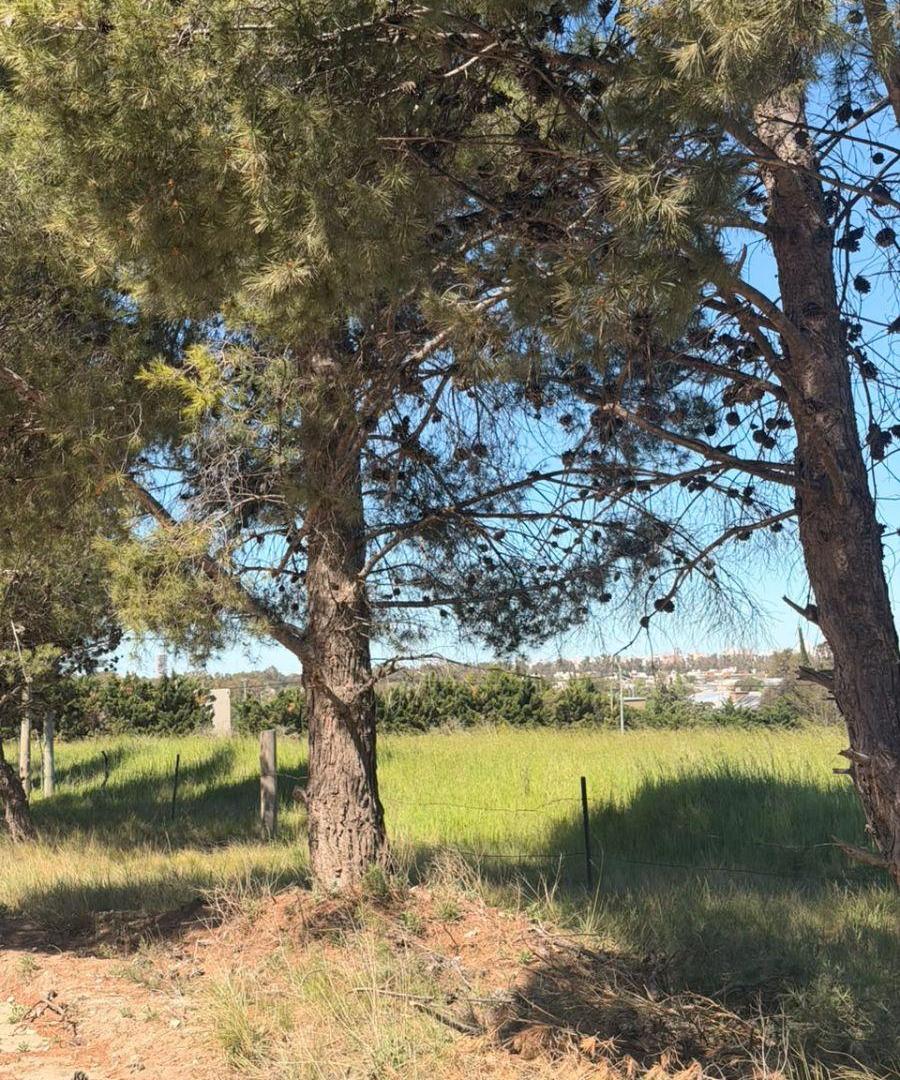 Foto de NUEVO LOTEO EN VENTA - BARRIO PARQUE SAN CARLOS, imagen 3