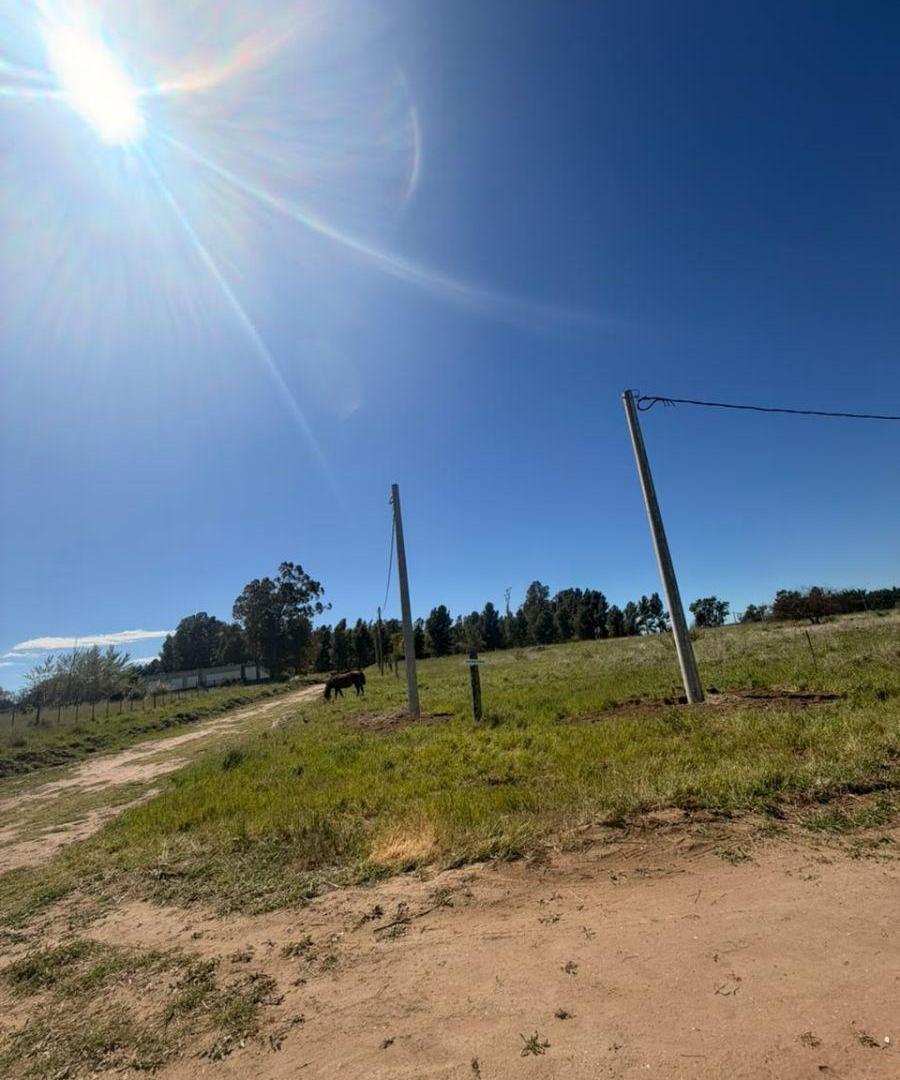 Foto de NUEVO LOTEO EN VENTA - BARRIO PARQUE SAN CARLOS, imagen 2