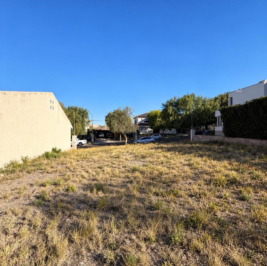 Foto de Unico Lote 450M2 Dalvian entre Bv Mentas y Bv Gemelos, imagen 3