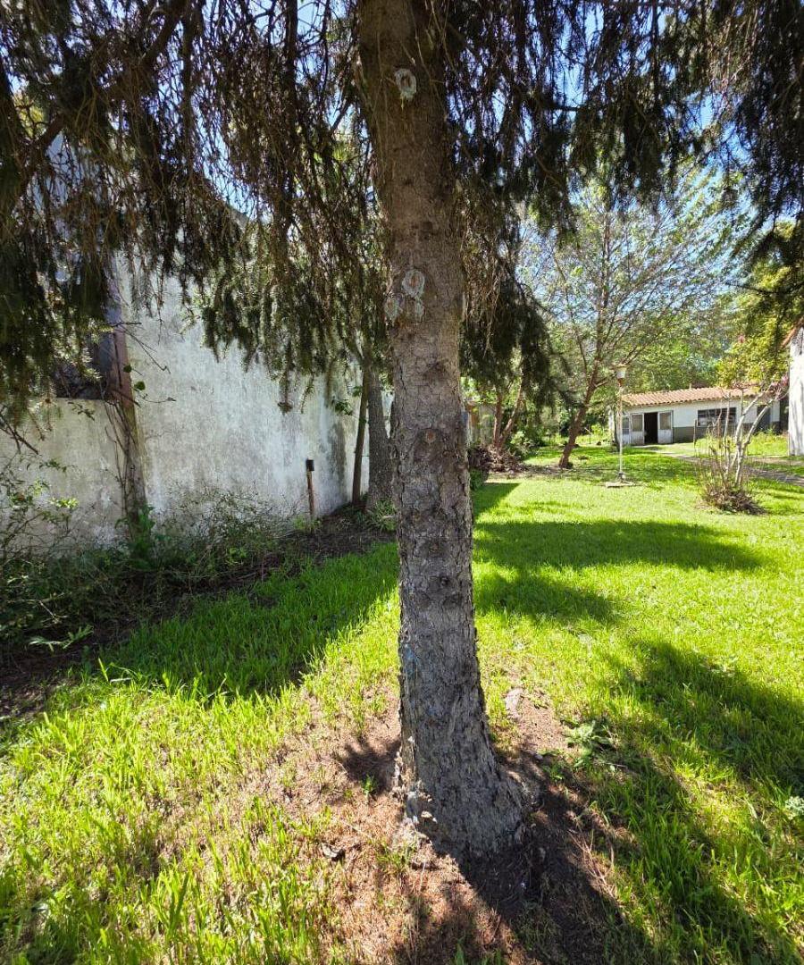 Foto de VENTA - HERMOSO LOTE DE 10X60 Mts. en Adrogué, imagen 4