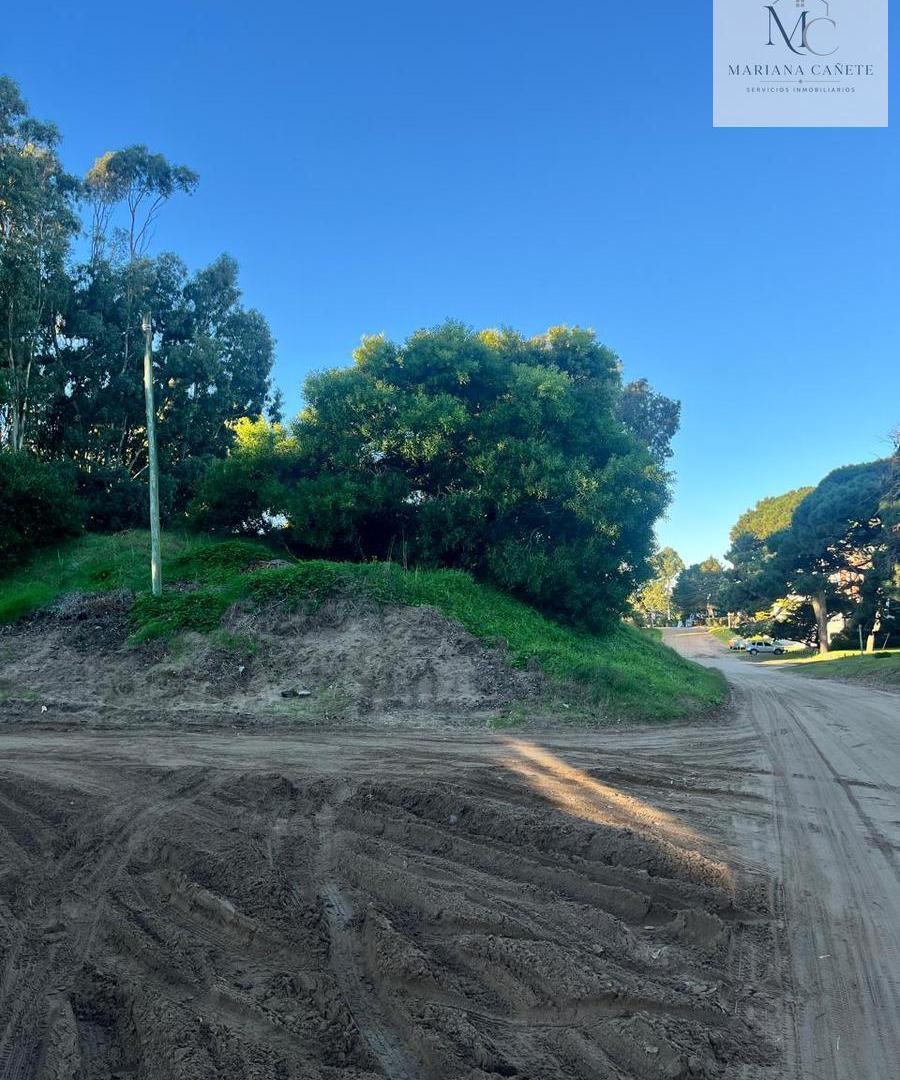 Foto de Terreno en Pinamar, imagen 2