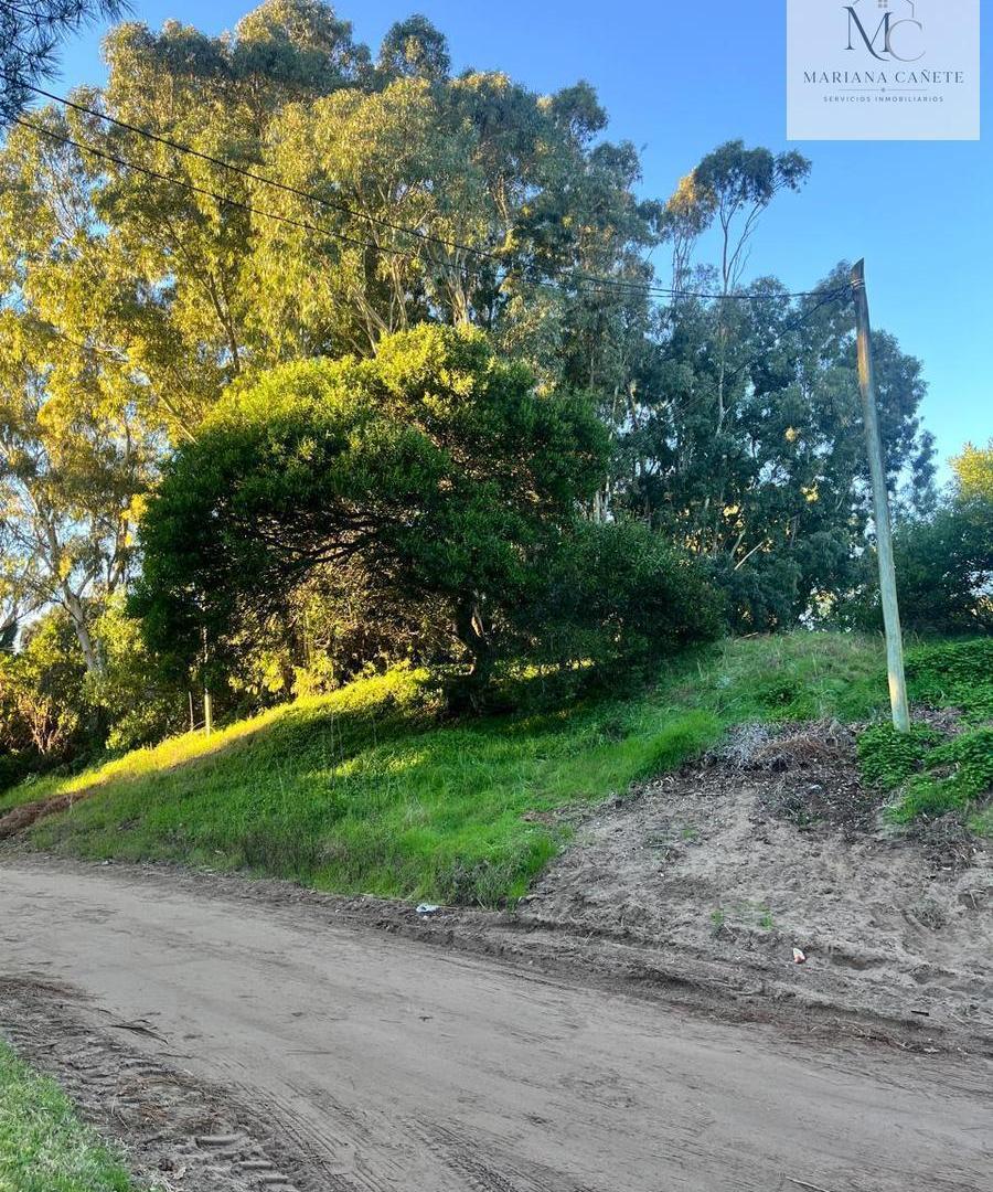 Foto de Terreno en Pinamar, imagen 4