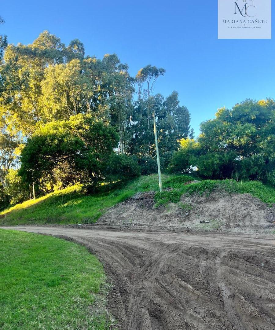Foto de Terreno en Pinamar, imagen 1
