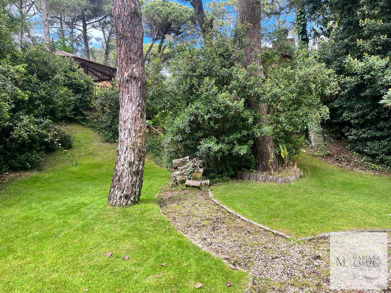 Foto de Terreno en Carilo - AVESTRUZ, imagen 4