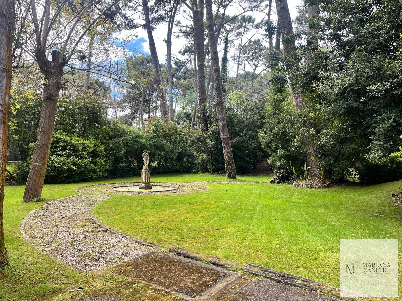 Foto de Terreno en Carilo - AVESTRUZ, imagen 5