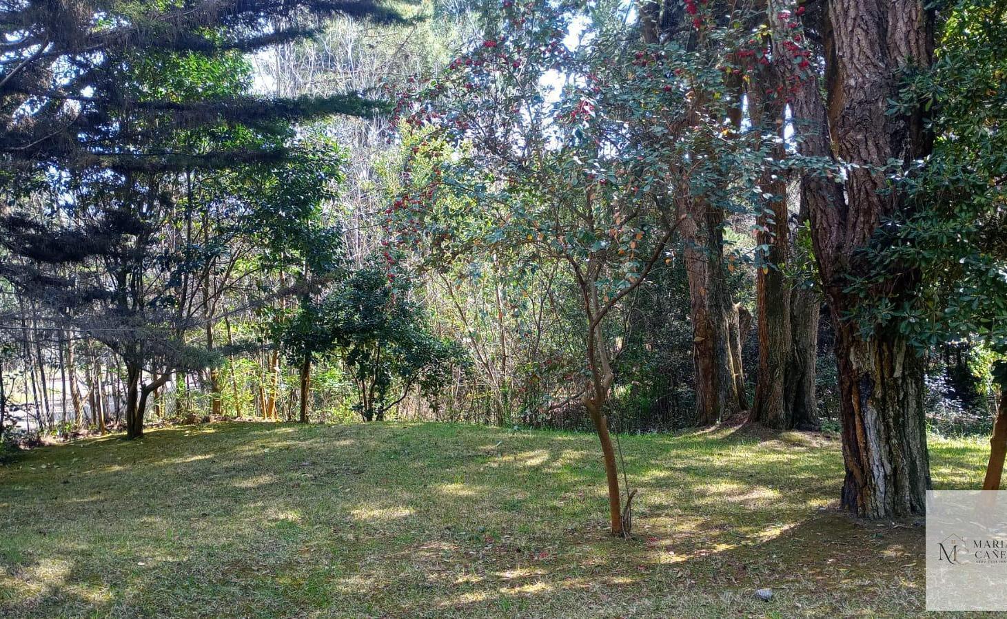 Foto de Terreno en Carilo, imagen 3
