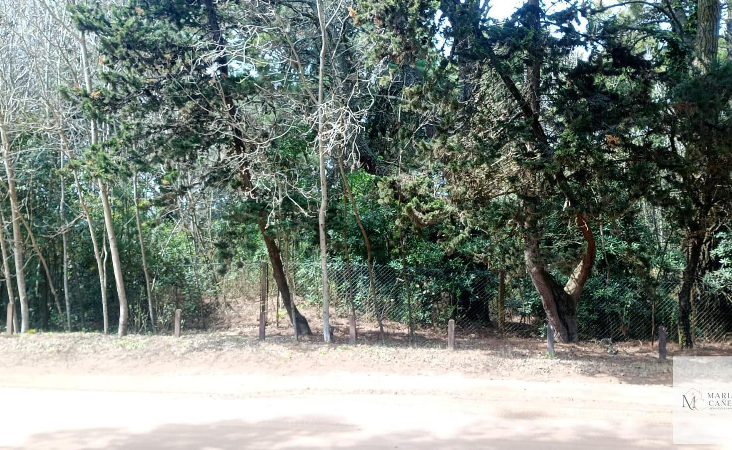 Foto de Terreno en Carilo, imagen 4