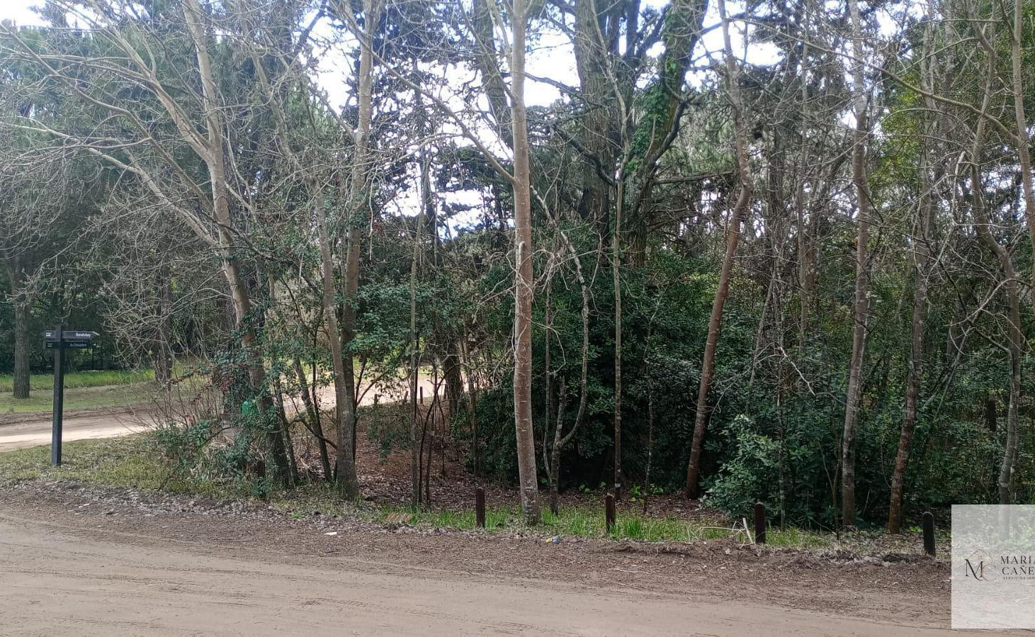 Foto de Terreno en Carilo, imagen 2