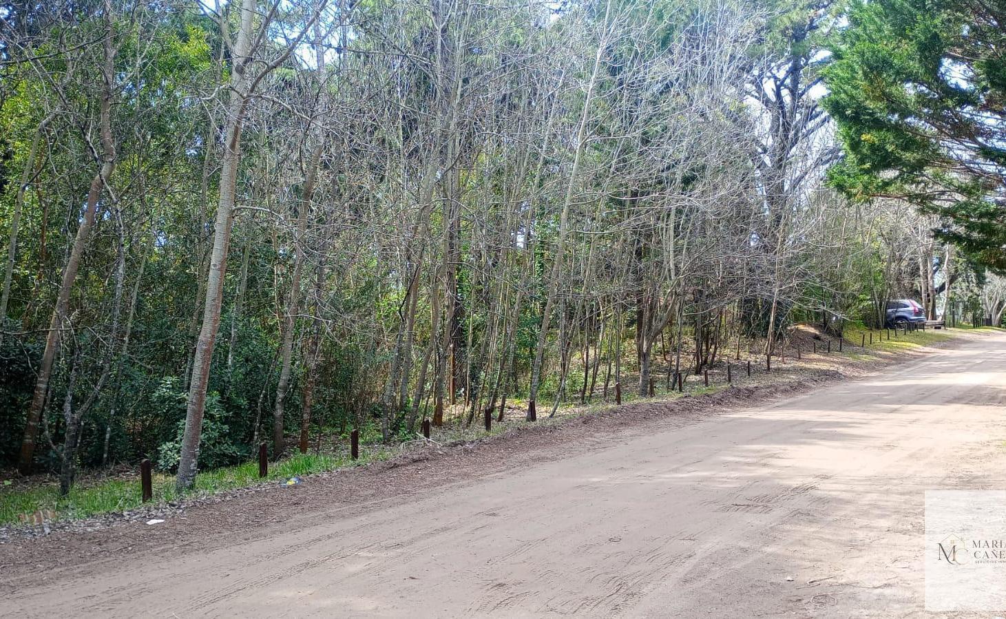 Foto de Terreno en Carilo, imagen 5