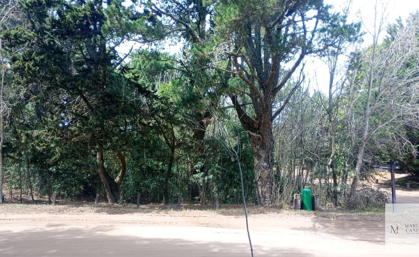 Foto de Terreno en Carilo, imagen 1
