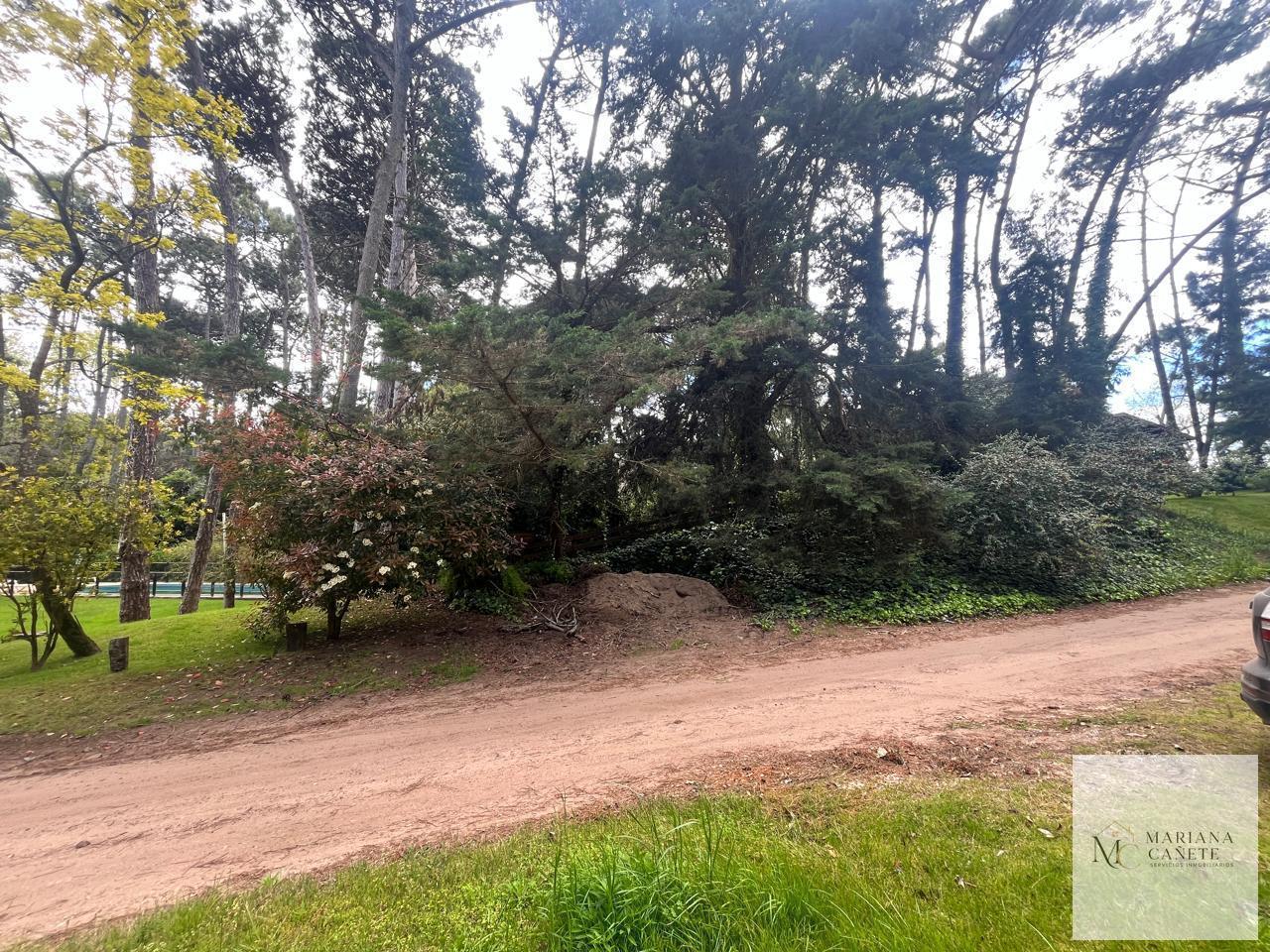 Foto de Terreno en Carilo, imagen 4