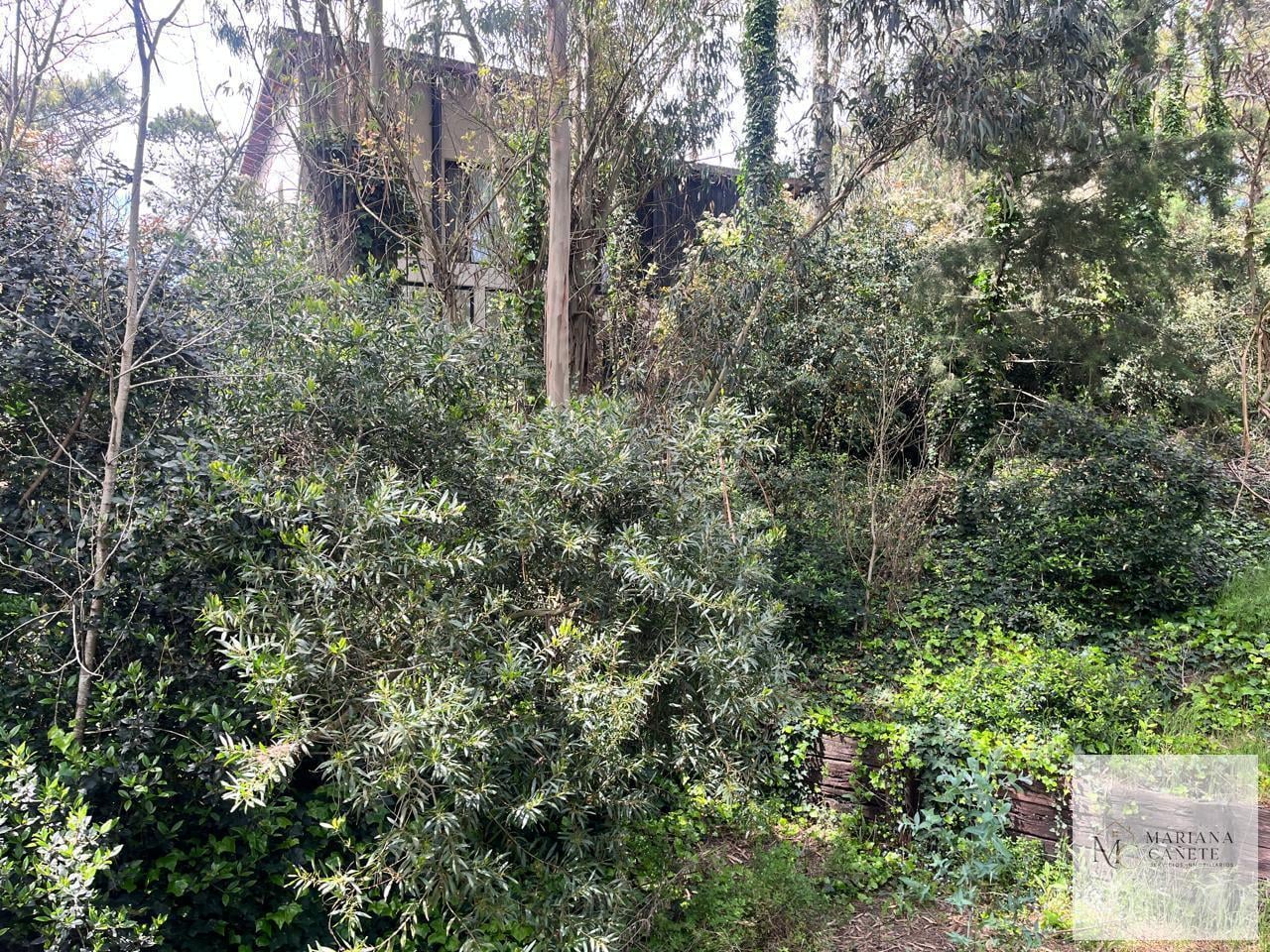Foto de Terreno en Carilo, imagen 1