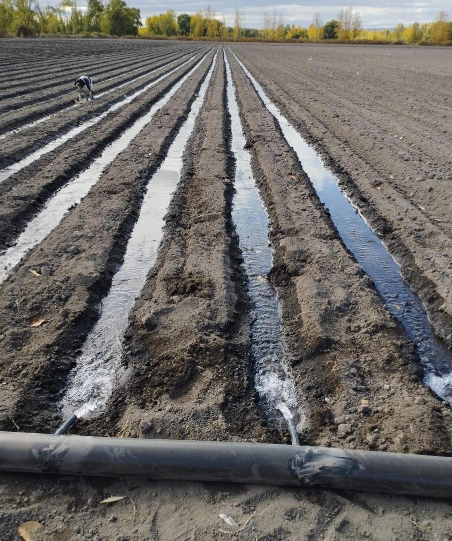 Foto de Oportunidad de inversión – Finca de 16 hectáreas con derecho a riego, imagen 2