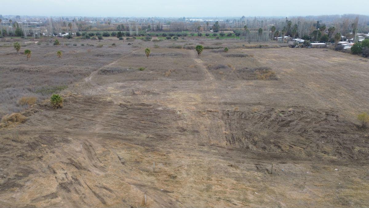 Foto de Finca en Los Corralitos, imagen 2
