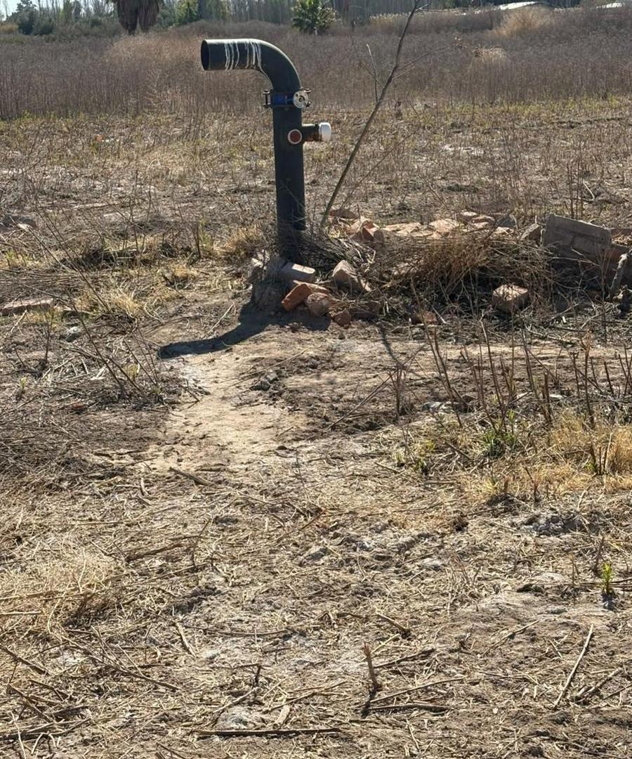 Foto de Finca en Los Corralitos, imagen 4