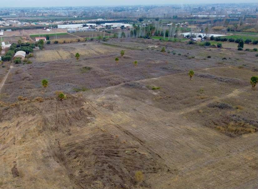 Foto de Finca en Los Corralitos, imagen 3