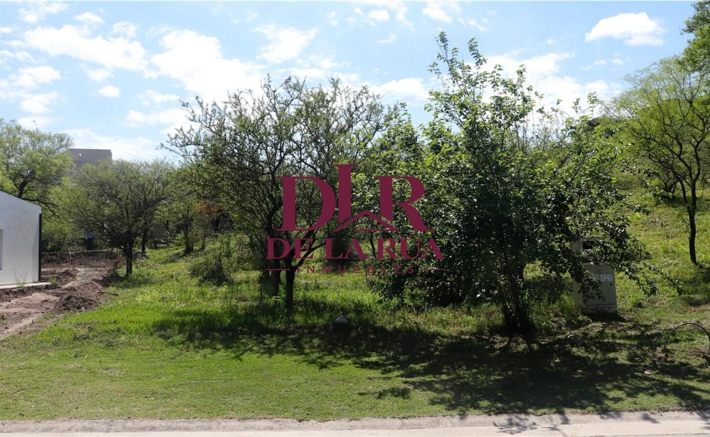 Foto de Terreno en Maitenes de la Deseada, imagen 5