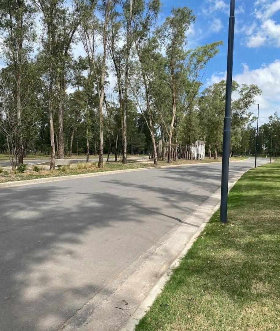 LOTE 267.88 NUEVO MALAGUEÑO