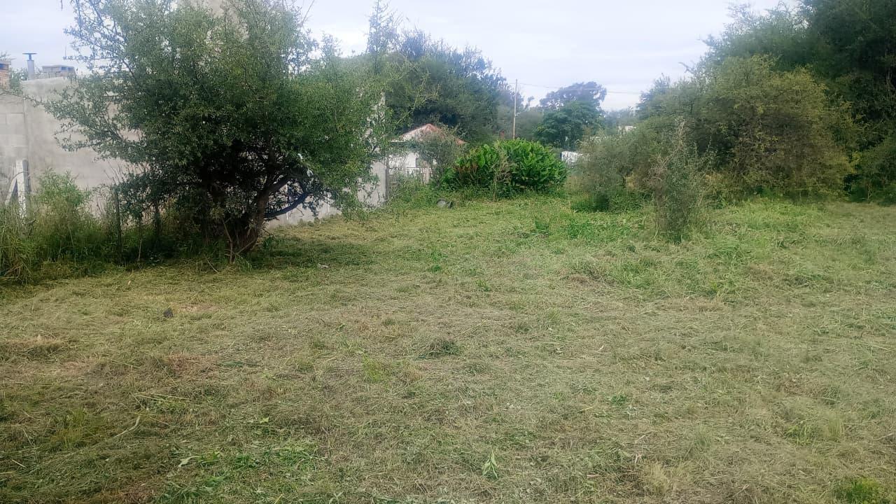 Foto de 4 LOTES 480 M2 C/U EN ANISACATE OPRTUNIDAD INVERSION, imagen 4