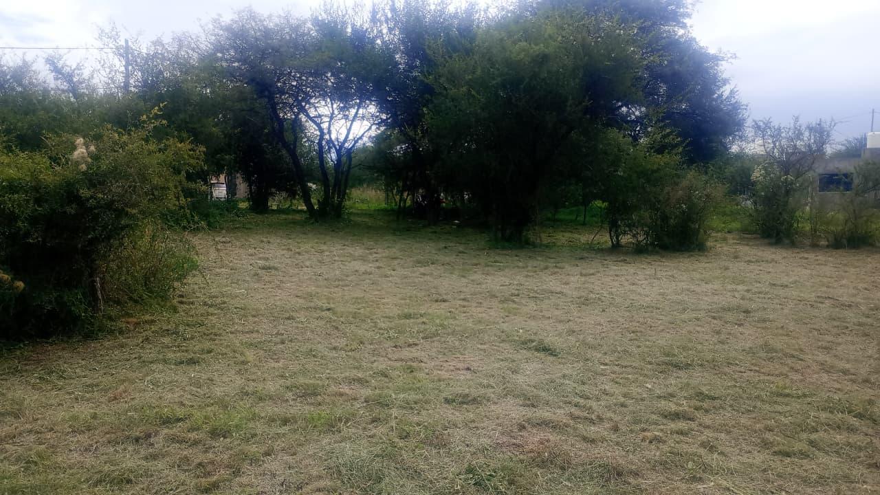 Foto de LOTE 480 M2 EN ANISACATE CON POSIBILDAD DE COMPRAR MAS, imagen 1