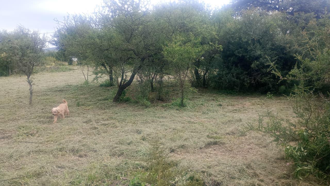Foto de LOTE 480 M2 EN ANISACATE CON POSIBILDAD DE COMPRAR MAS, imagen 5