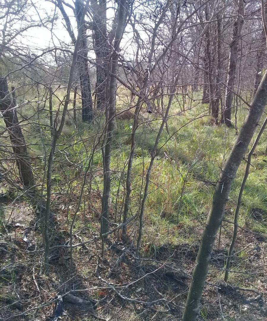 Foto de Terreno en Villa Quillinzo, imagen 4