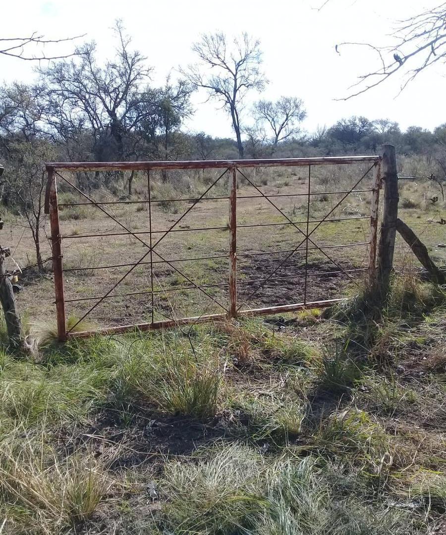 Foto de Terreno en Villa Quillinzo, imagen 5