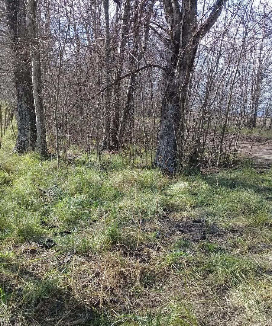 Foto de Terreno en Villa Quillinzo, imagen 2
