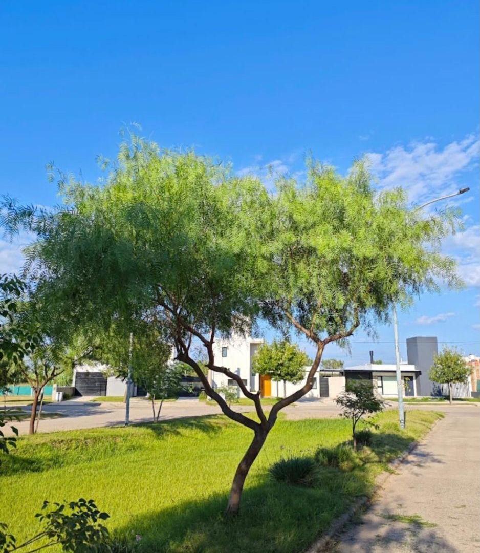 OPORTUNIDAD LOTE COMARCA DE ALLENDE!!!