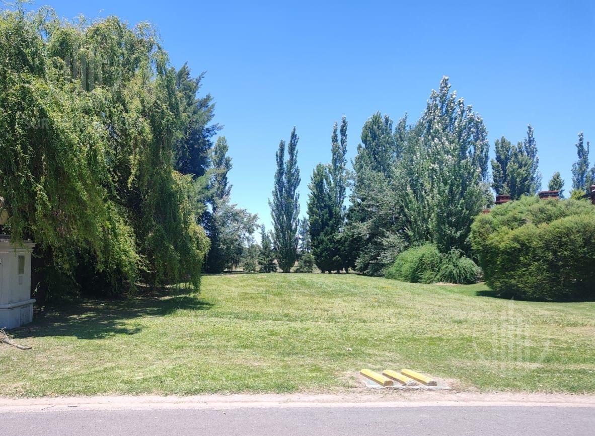 Foto de Terreno en San Eliseo Golf, imagen 3