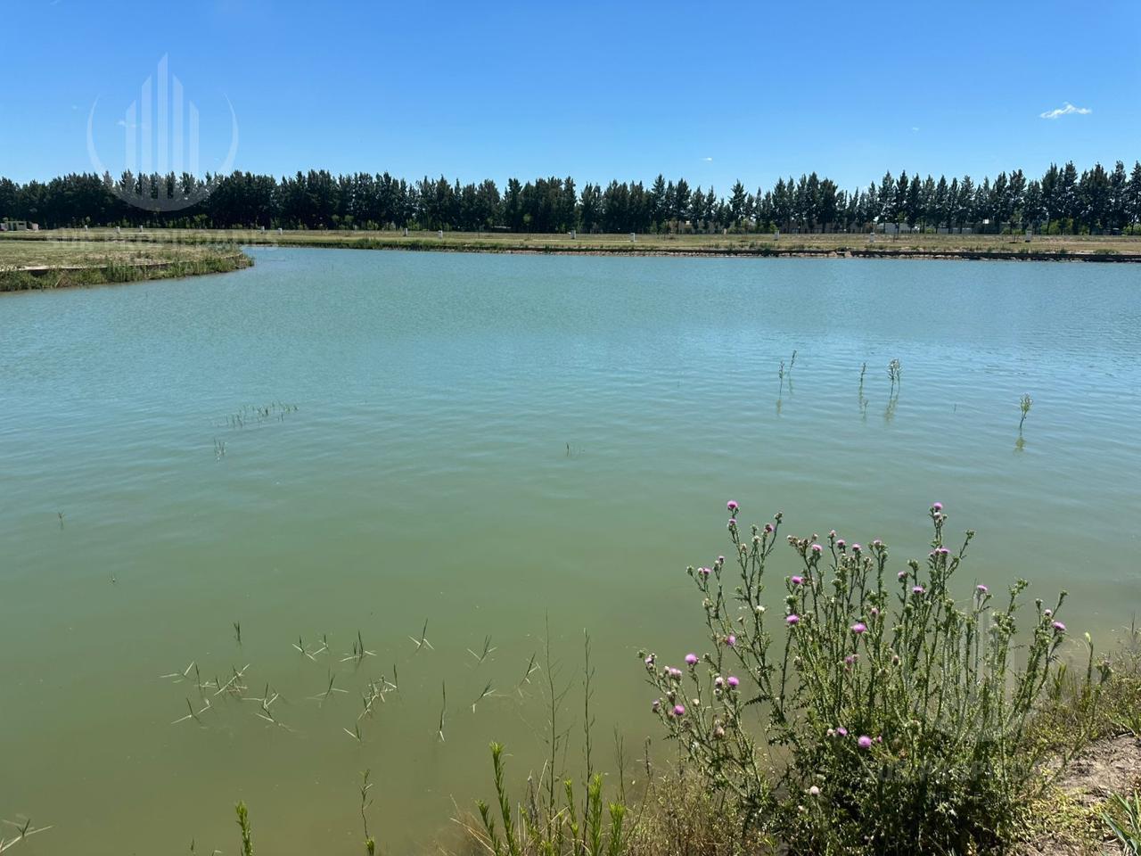 Foto de Terreno en Las Victorias, imagen 1