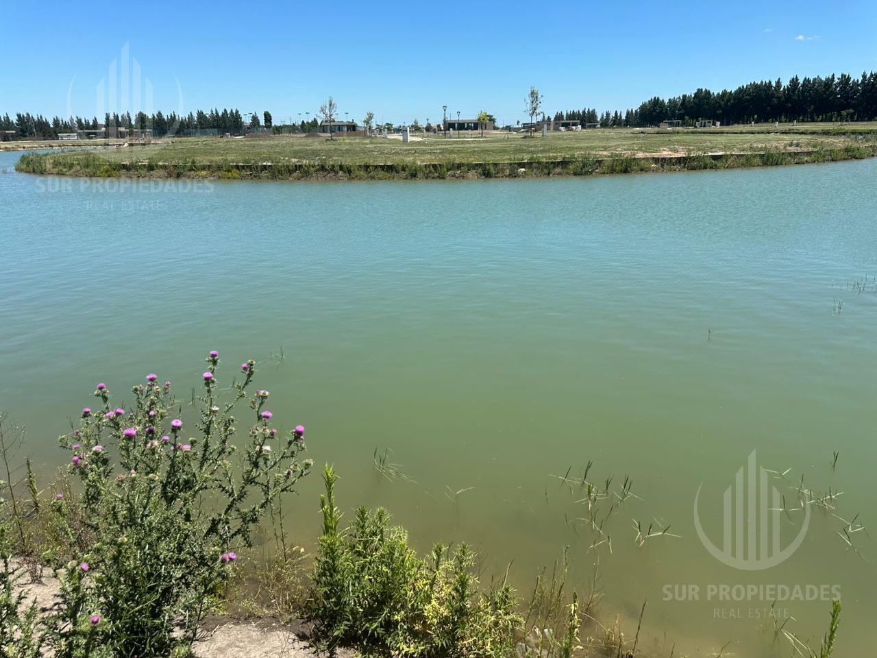 Foto de Terreno en Las Victorias, imagen 4