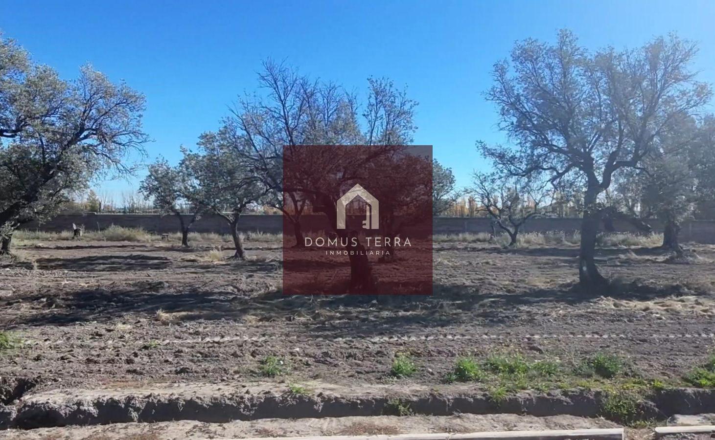 Foto de Lote en Olivos VIP – Callejón del Pozzi al 500, imagen 4