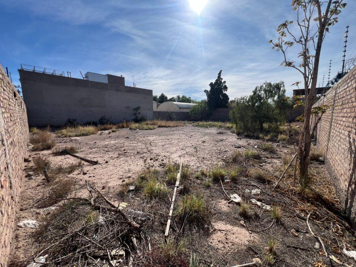Foto de Gran terreno para construir !!!!, imagen 2