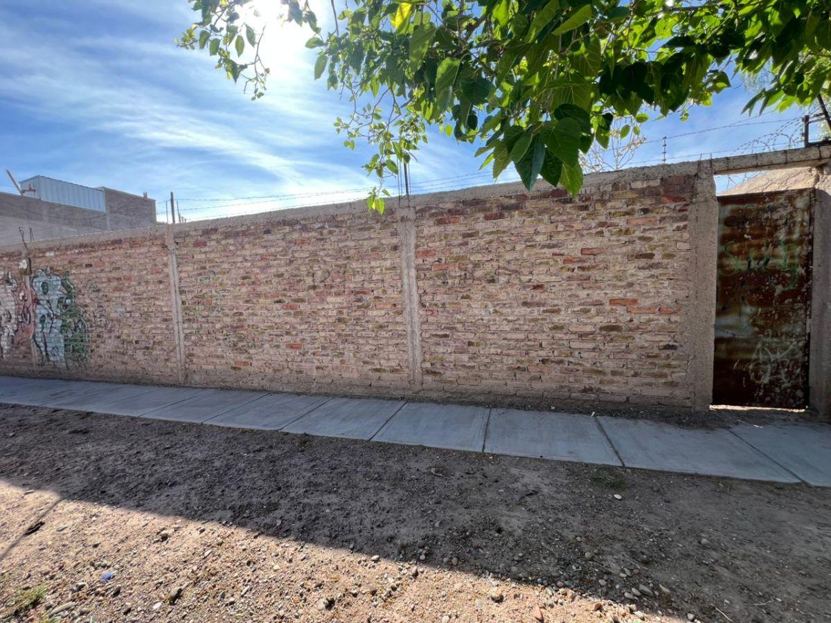 Foto de Gran terreno para construir !!!!, imagen 4