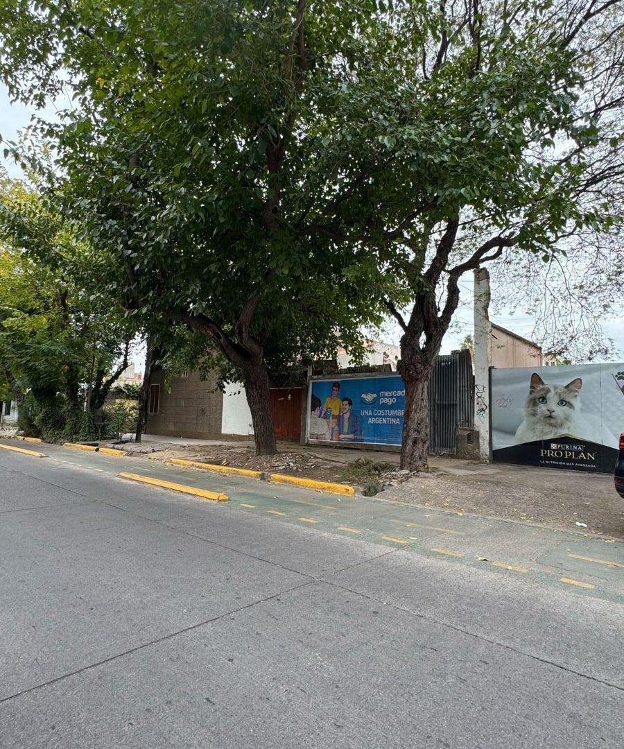 Foto de Ecxelente lote en plena quinta seccion!, imagen 3