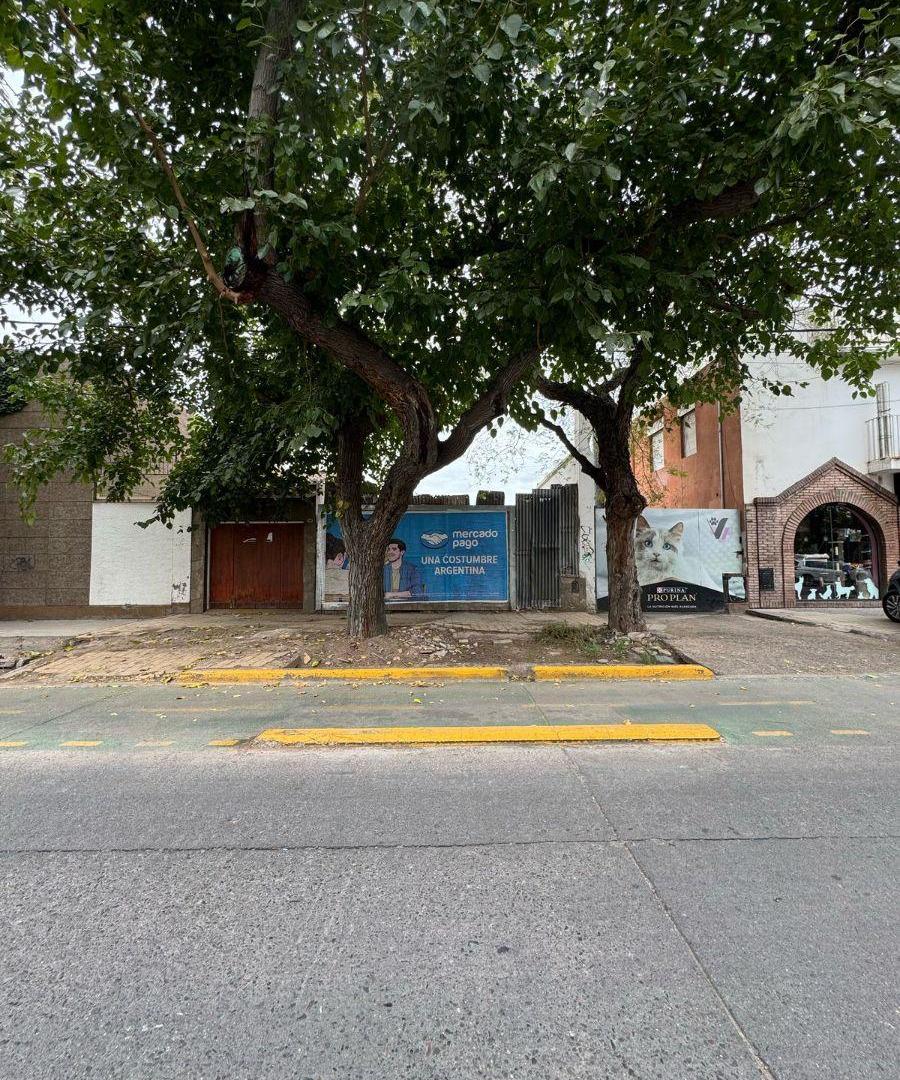 Foto de Ecxelente lote en plena quinta seccion!, imagen 5