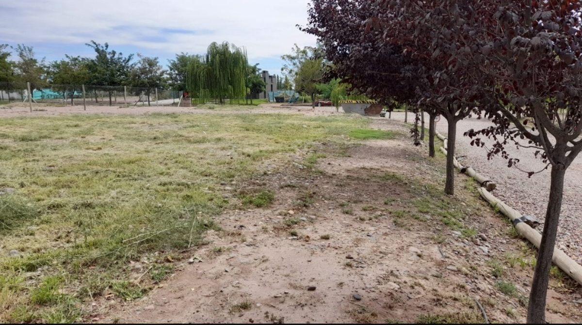 Foto de Excelente lote esquina en Barrio privado Liceo Country 4, imagen 5