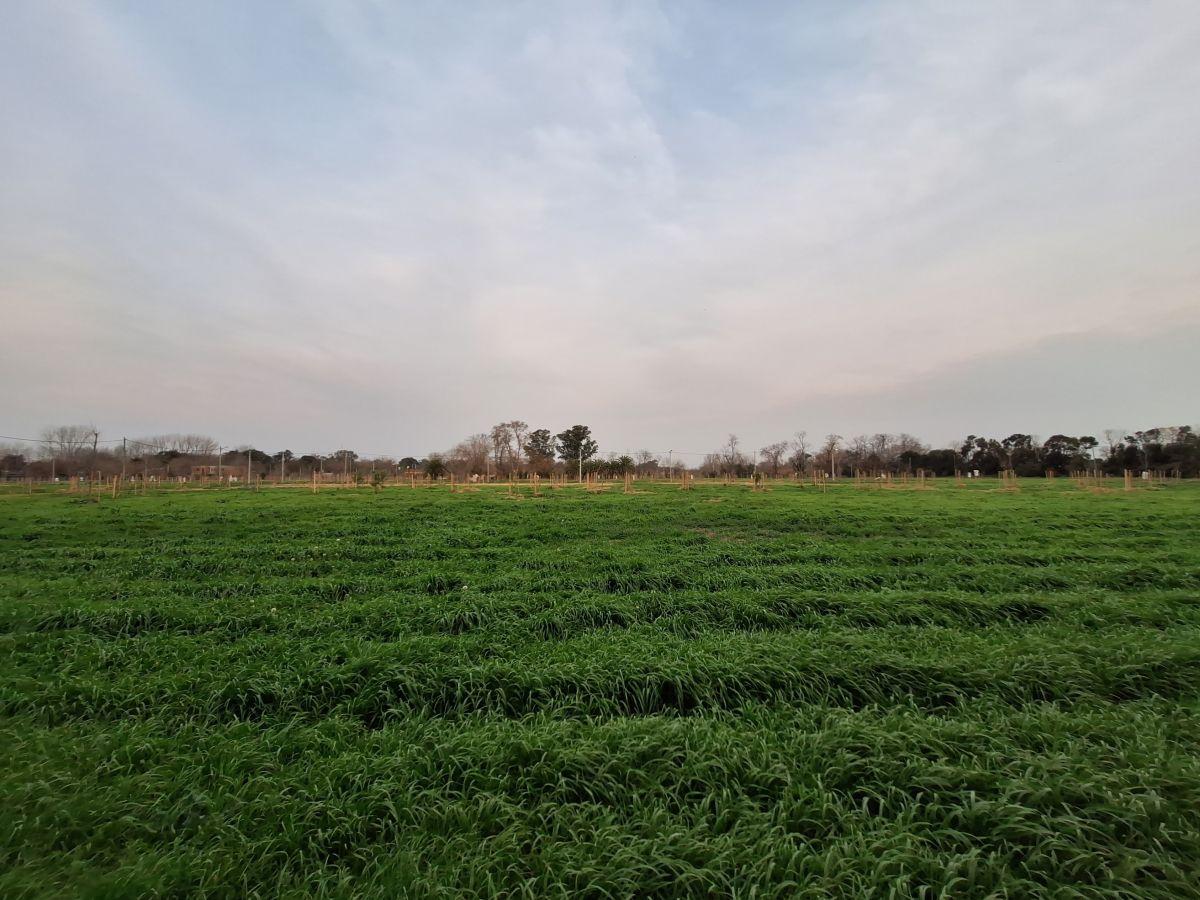 Foto de Lote en en Venta en ECOCHACRASII, imagen 3