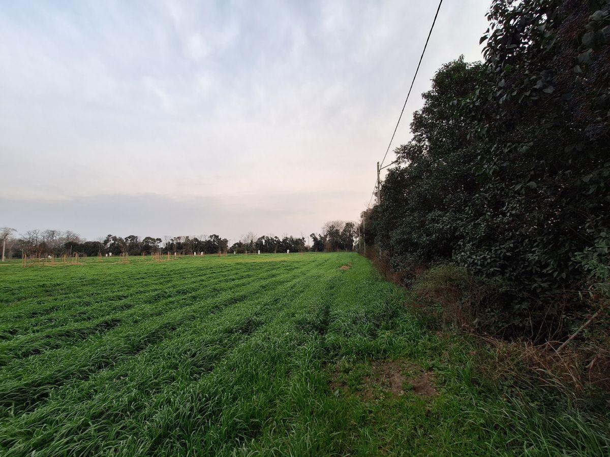Foto de Lote en en Venta en ECOCHACRASII, imagen 5