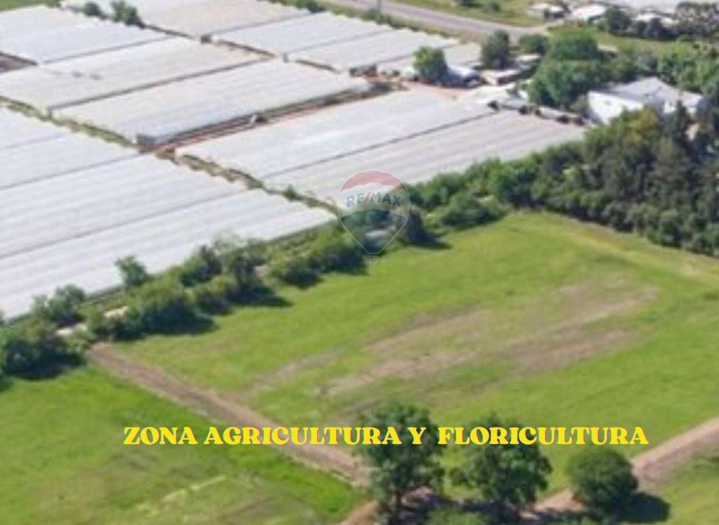 LOTES EN VENTA 4 HECTARIAS ABASTO LA PLATA CAMPO