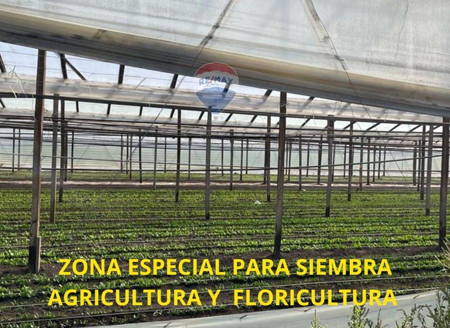Foto de CAMPO EN VENTA 4 HECTARIAS ABASTO LA PLATA CHACRA, imagen 3