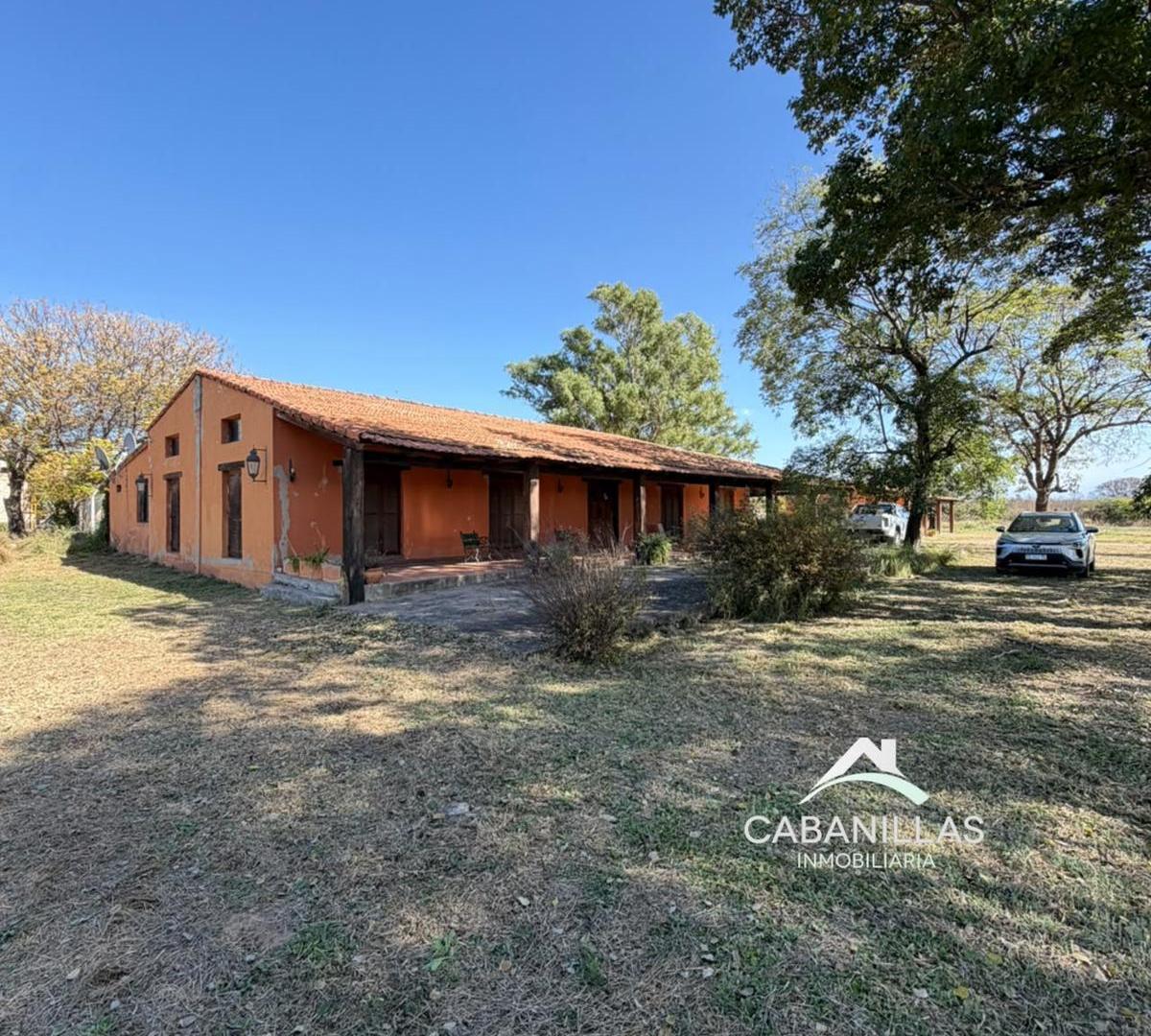 Foto de Campo en Venta con Planta Procesadora en Funcionamiento, imagen 3