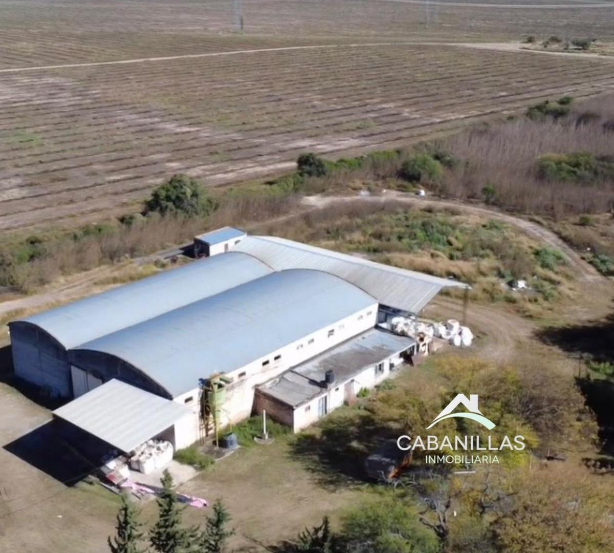 Foto de Campo en Venta con Planta Procesadora en Funcionamiento, imagen 4
